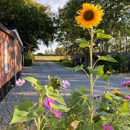 Apartman Bolding Billund