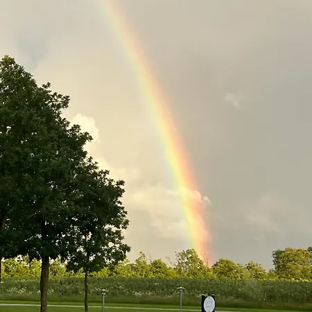 Bolding بيلوند