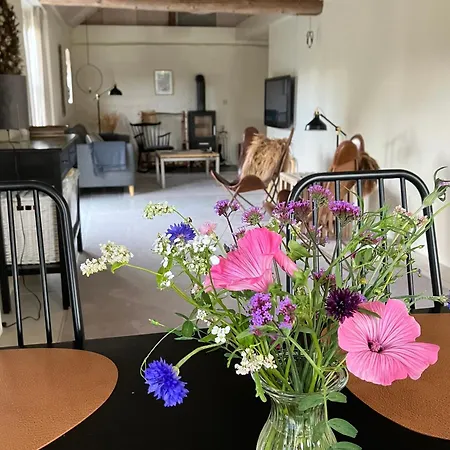 Bolding شقة بيلوند