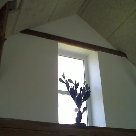 Appartement Bolding *
