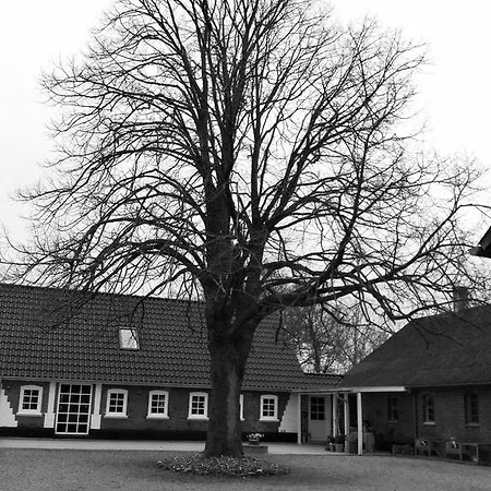 Bolding بيلوند