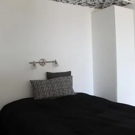 公寓 宝鼎公寓 *