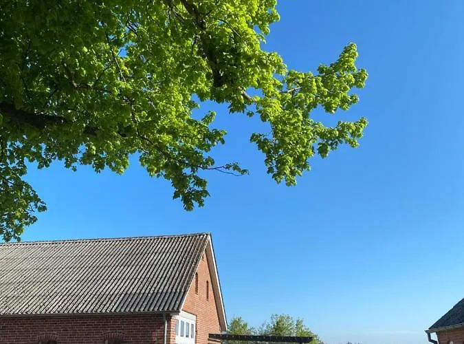 Bolding Apartamento *